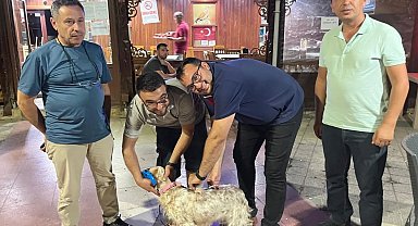 Toplu kuduz aşısı uygulaması avcılar kulübünde gerçekleştirildi