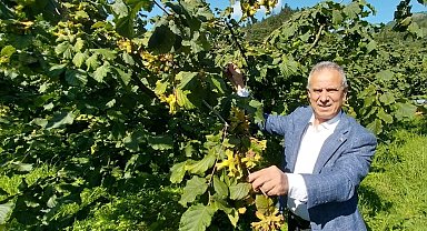 Trabzon Ticaret Borsası Başkanı Ergan: