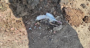 Trafoya kuş çarptı, alevler kısa sürede söndürüldü