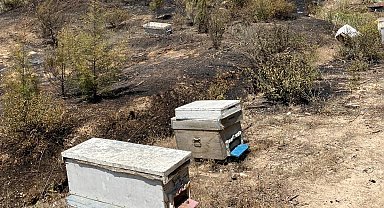 Turgutlu'da kırsal alanda çıkan yangın ormanlık alana sıçramadan söndürüldü