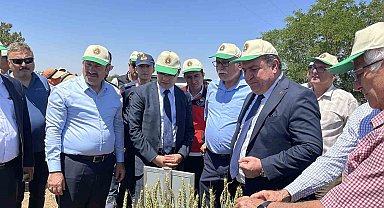 Türkiye'de hububatta toprağa düşen her dört tohumdan birini TİGEM üretiyor
