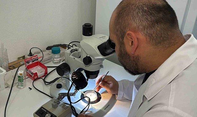Türkiye'nin kene faunası değişiyor; yeni türler takip altında