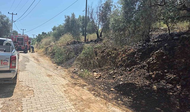 Ula'da yol kenarında çıkan yangın korkuttu