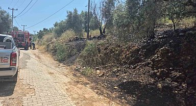 Ula'da yol kenarında çıkan yangın korkuttu