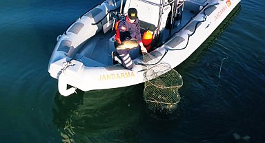Uluabat Gölü'nde kaçak avcılığa Jandarma darbesi... 346 kilo balık doğaya kazandırıldı