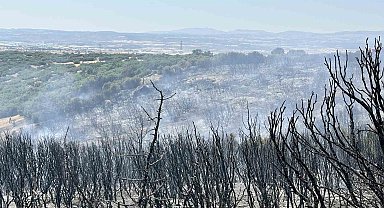 Uşak'ta tarım arazisinde çıkan yangın makilik alama sıçradı