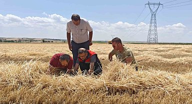 Uşak'ta tarım ekiplerinden biçerdöverlere sıkı denetim