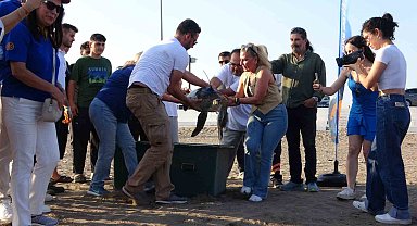 Uydu cihazı takılan kaplumbağa 'Atlas' denize bırakıldı