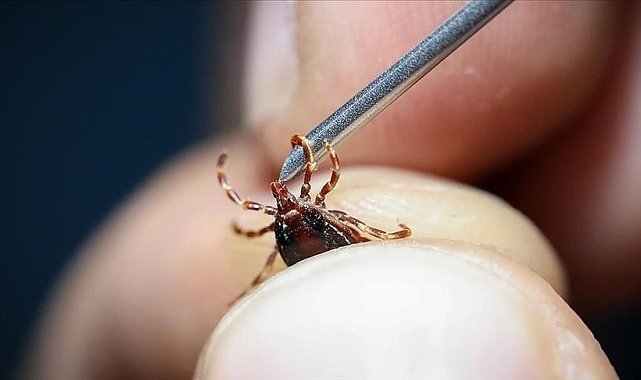 Uzmanlar uyardı: "Grip sandığınız ölümcül kene ısırığı olabilir"