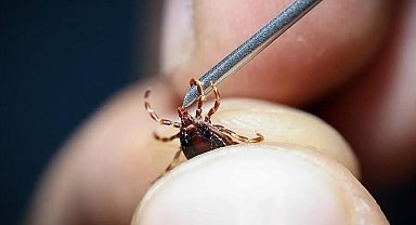 Uzmanlar uyardı: "Grip sandığınız ölümcül kene ısırığı olabilir"