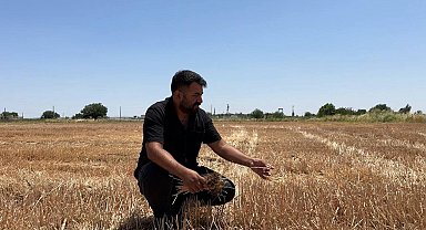 Uzmanlar ve çiftçiler anız yakmanın zararlarına dikkat çekti
