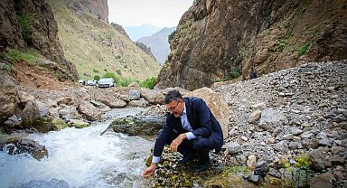 Vali Çelik'ten yayla yolunda inceleme