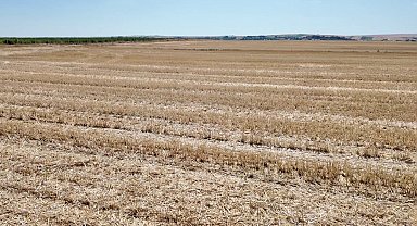 Vali Sezer'den yangın uyarısı: "Bir kıvılcım, bir yılı yok eder"