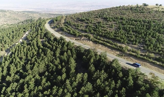 Valilikten yangın tedbiri: 5 ay boyunca ormanlara giriş yasak