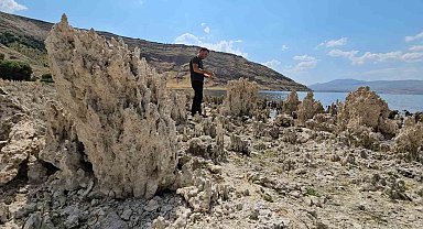 Van Gölü sahilleri mikrobiyalit tarlasına döndü