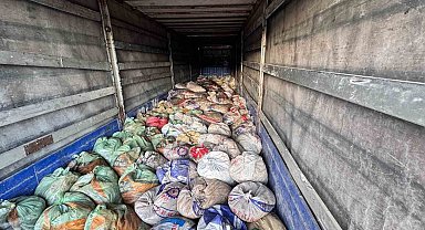 Van'da 22 ton 475 kilogram kaçak avlanmış balık ele geçirildi