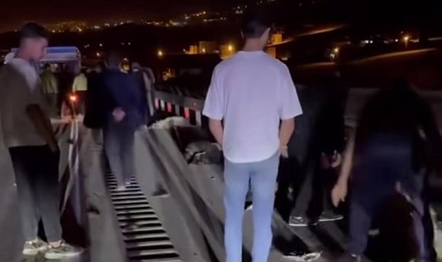 Van'da hafif ticari kamyonet sürüye çarptı; 8 koyun telef oldu