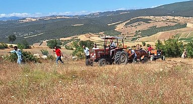 Vezirköprü'de buğday tarlasında yangın: 30 dönüm alan kül oldu