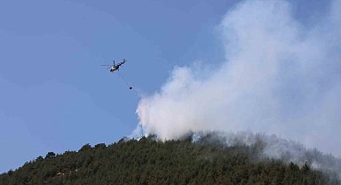 Yakılan anız, orman yangınına neden oldu: Müdahale sürüyor