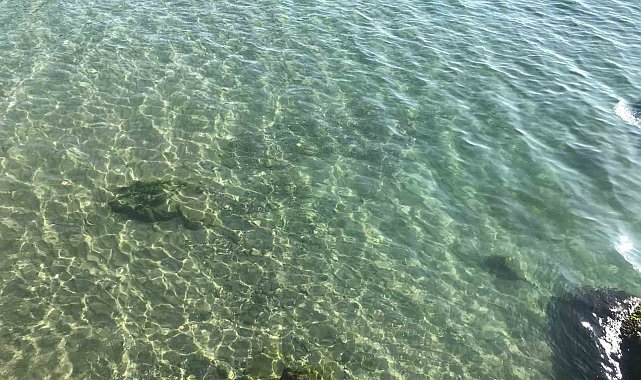Yakıt dökülen deniz temizlendi: Vatandaşlar soluğu İnkumu'nda aldı