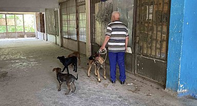 Yaklaşık 2 haftadır depoda mahsur kalan 6 köpek kurtarıldı