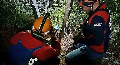 Yalova'da kayıp vatandaş ormanda ölü bulundu