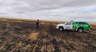 Yangın sonrası doğadaki canlılar kontrol edildi