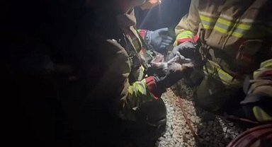 Yangında mahsur kalan kediye yürek ısıtan şefkat