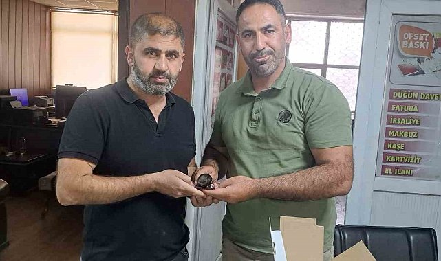Yaralı halde bulunan ebabil kuşu doğa koruma ekiplerine teslim edildi