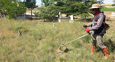 Yarımca köyü yabancı otlardan temizleniyor