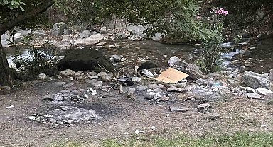 Yasağı delip ormanda mangal yaktılar, jandarmadan kaçamadılar