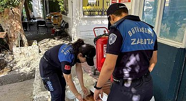 Yatağan Otogarı'nda etiketsiz 60 kilogram et ele geçirildi