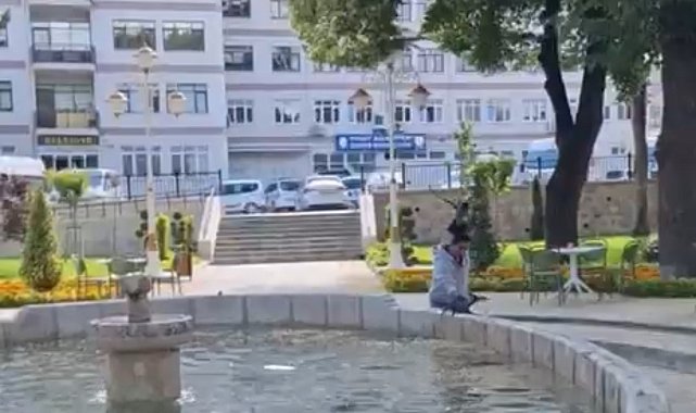 Yavru kargayı kurtarmak istedi, diğer karganın saldırısıyla hastanelik oldu