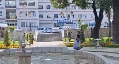 Yavru kargayı kurtarmak istedi, diğer karganın saldırısıyla hastanelik oldu