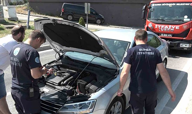 Yavru kedi, trafiği kilitledi