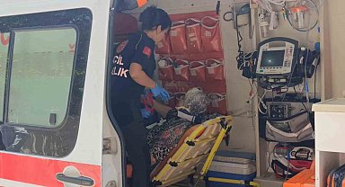 Yaya geçidinde kamyonetin çarptığı yaşlı kadın yaralandı