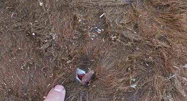 Yayla kavgası: 1 yaralı