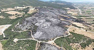 Yenişehir'de 500 futbol sahası büyüklükte alan kül oldu