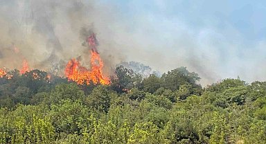 Yenişehir'deki yangının dumanları Bursa'dan görülüyor