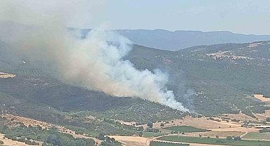 Yenişehir'deki yangının gücü azaldı