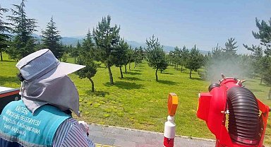 Yeşil alanlarda ilaçlama çalışması sürüyor