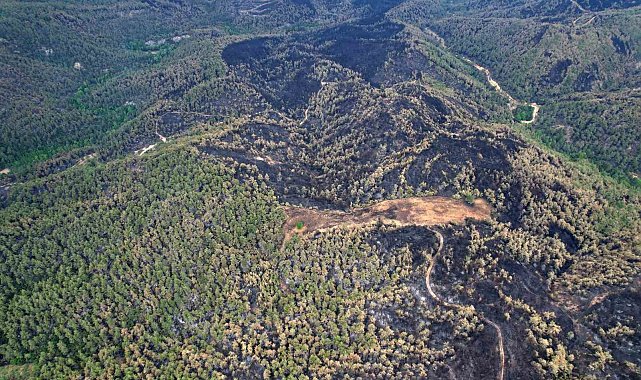 Yeşilin tonlarının yanarak siyaha büründüğü alanlar havadan da görüntülendi