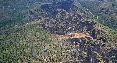 Yeşilin tonlarının yanarak siyaha büründüğü alanlar havadan da görüntülendi