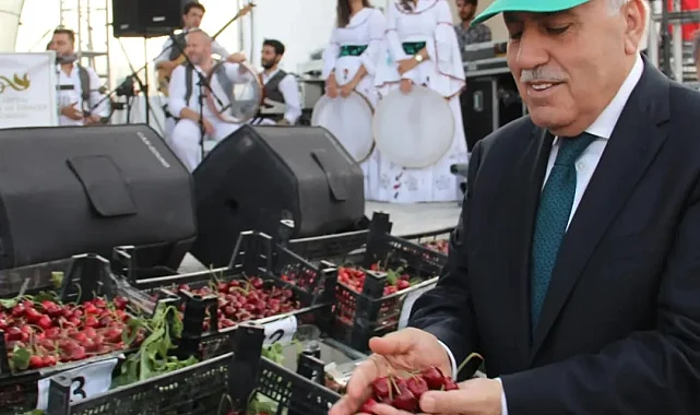 Yeşilli Kiraz Festivali'yle Mardin dünyaya tanıtılıyor