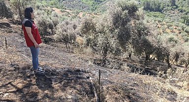 Yeşilyurt'taki yangında zarar gören tarım alanlarında hasar tespit çalışması yapıldı