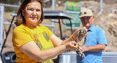 Yetişkinliğe erişen kerkenez yavruları doğal ortamlarına bırakıldı