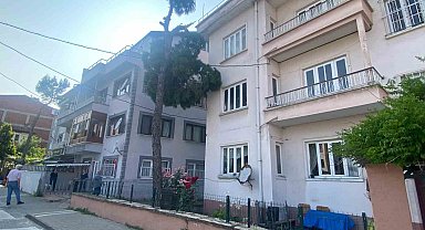 Yıkılma tehlikesi olan ağaç itfaiye ekipleri tarafından kesilecek