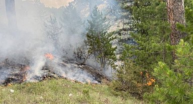 Yıldırım düşmesi sonucu çıkan orman yangını büyümeden söndürüldü