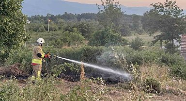 Yol kenarına atılan izmarit, otları yaktı