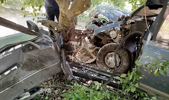 Yoldan çıkan otomobil ağaca çarptı: 1 yaralı